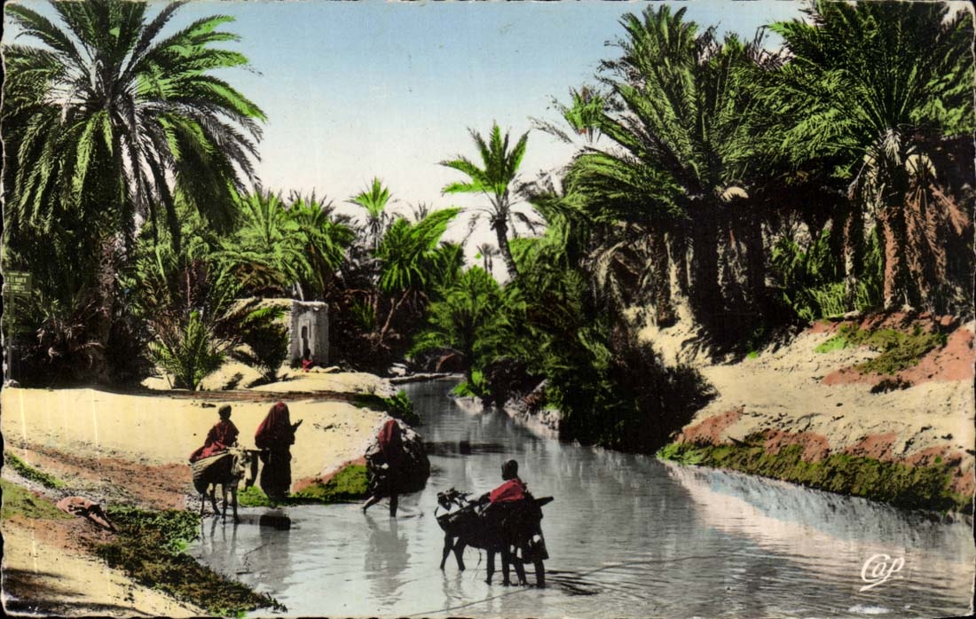 Afrique - Africa - Algerie - Algeria - Scenes et Types - Passage de l'Oued CPA 