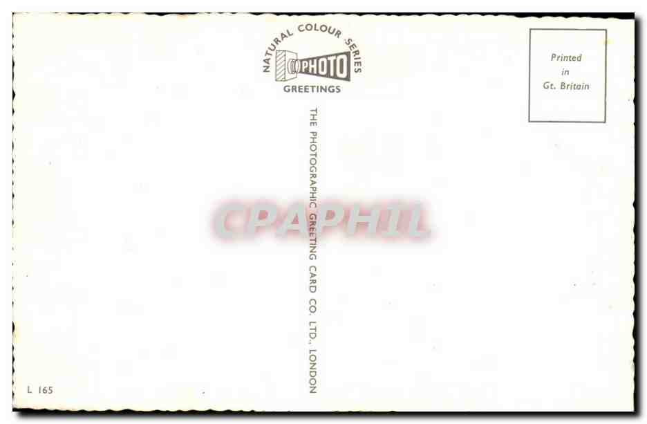 England - Angleterre - London - Souvenir CPA  — Rückseite