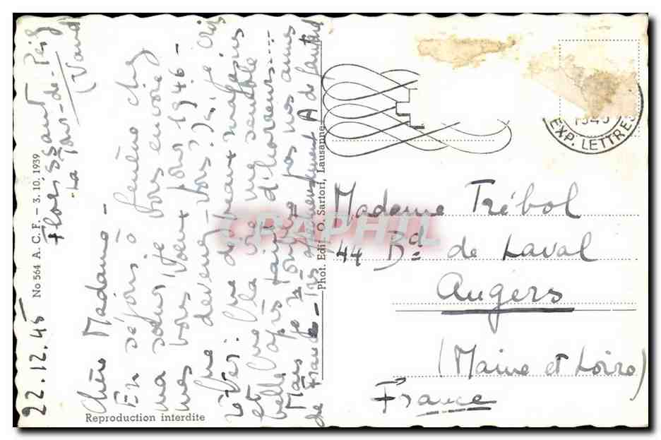 Suisse - Schweiz - Geneve - Geneva - jet d'eau 90 m - CPA  — Verso