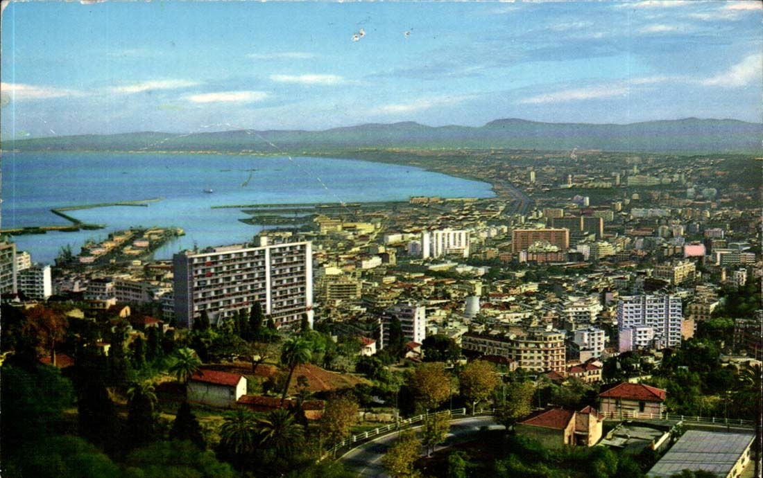 Vue aérienne d'Alger — éditeur 'Chènes Postaux de Voyage' — n°4