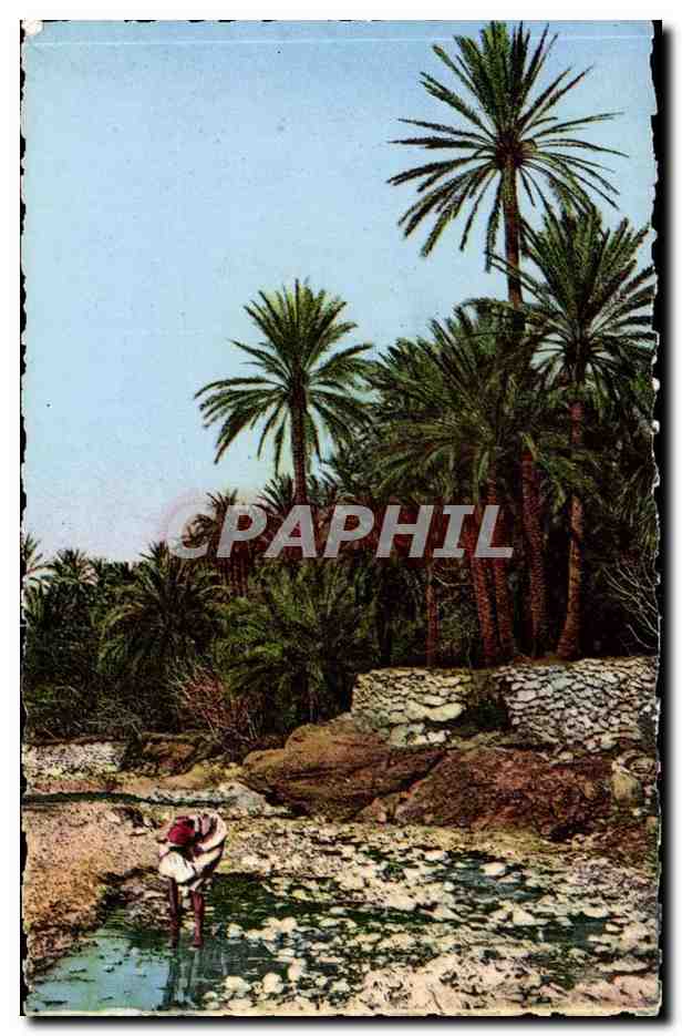 Scenes et type d'Afrique du Nord Algerie El Kantara Dans la riviere