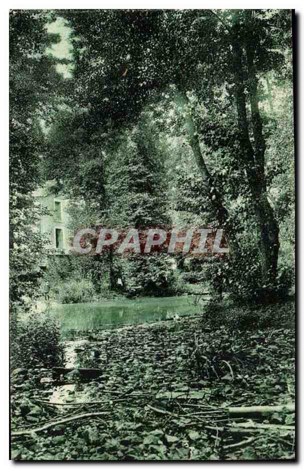 environs de Fontenay le Comte CPA Foret de Mervent Pierre BRune