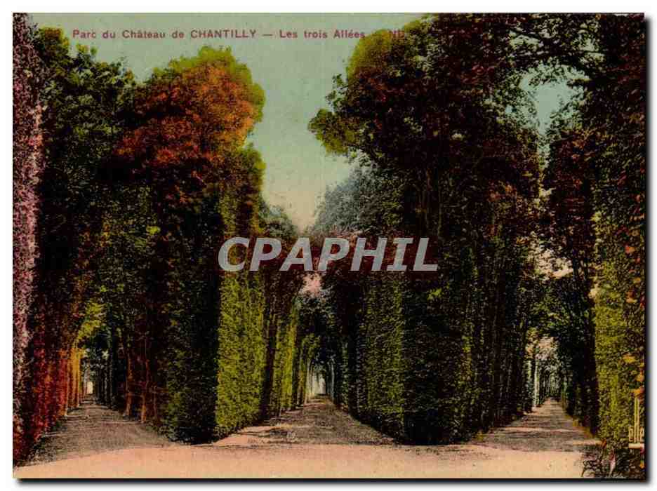 Parc du Château de CHANTILLY — Les trois Allées — Éditeur Levy & Neurdein, Paris