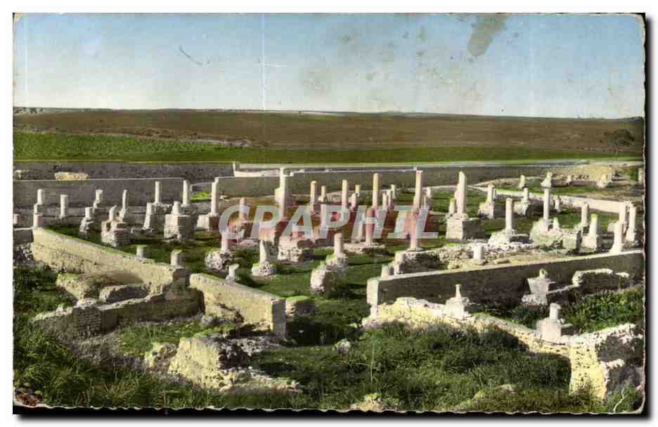 Afrique - Africa - Tunisie - Tunisia - Carthage damous Karita - Basilique et Rotonde - CPA 