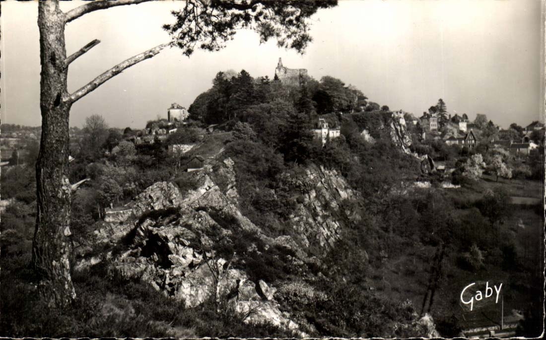 Domfront - Vue D'ensemble prise de Tetre Sainte Anne - CPA 