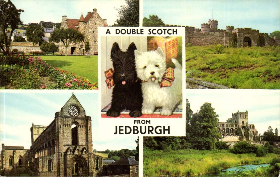 Grande Bretagne A double Scotch from Jedburgh Scotland Ecosse CPM