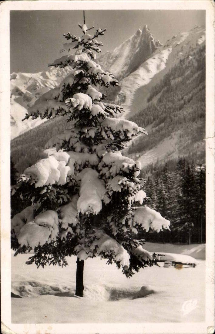 Chamonix CPA Mont Blanc en hiver Paysage d'hiver et aiguille verte et du Dru
