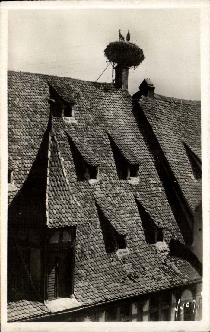 Obernai (Bas-Rhin) — Toit alsacien et son nid de cigognes — La Douce France