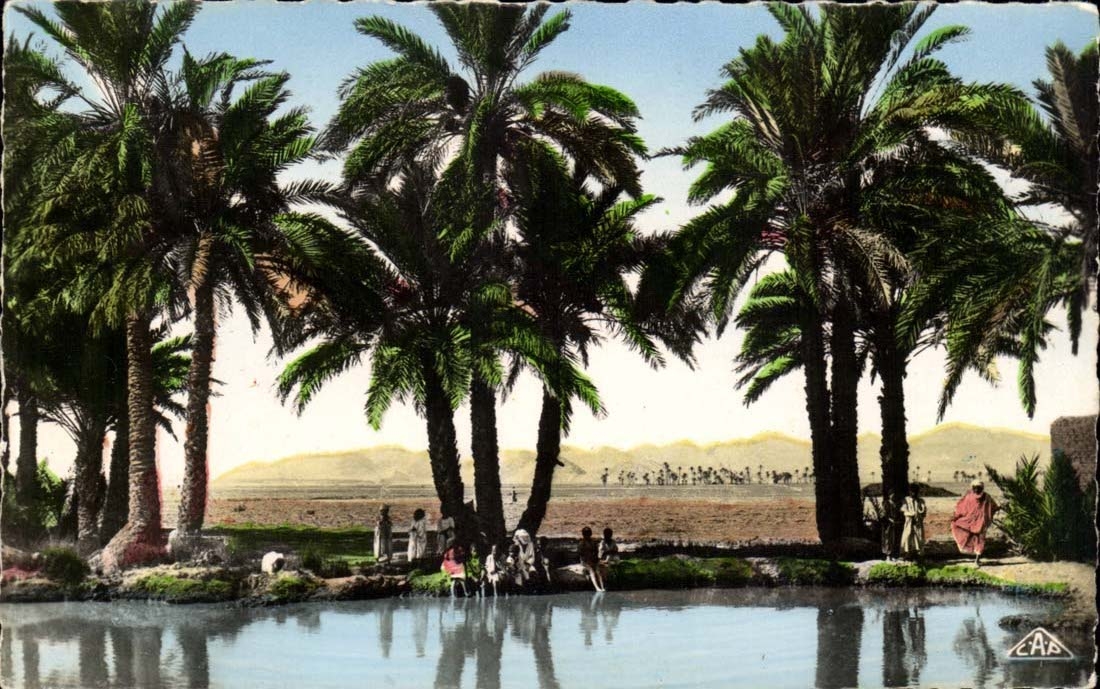 CPA Afrique du Nord Scenes et types Dans l'oasis