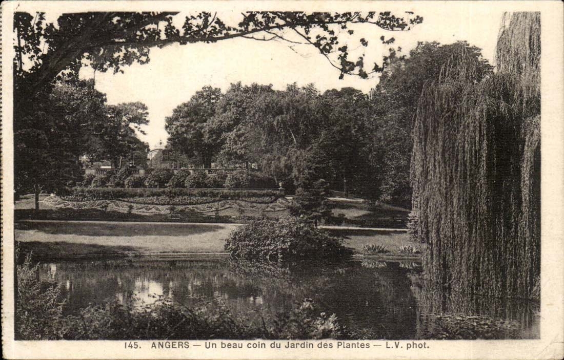 Angers CPA Un beau coin du jardin des plantes