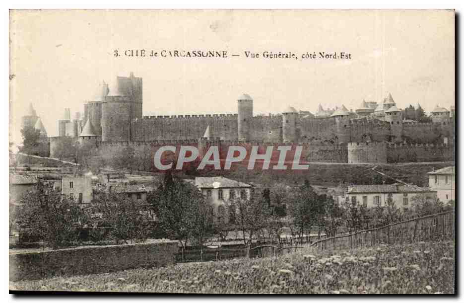 Cite de Carcassonne CPA Vue generale cote Nord Est