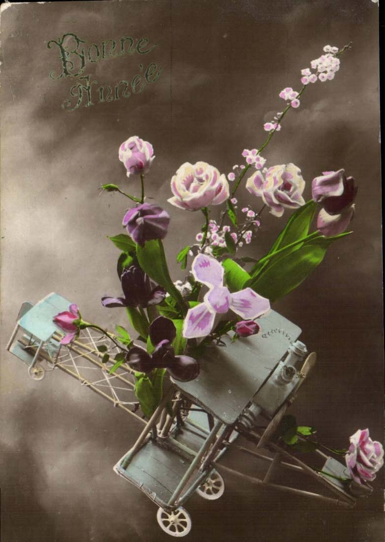 Bouquet de fleurs sur avion — Bonne Année — éditeur TANARD