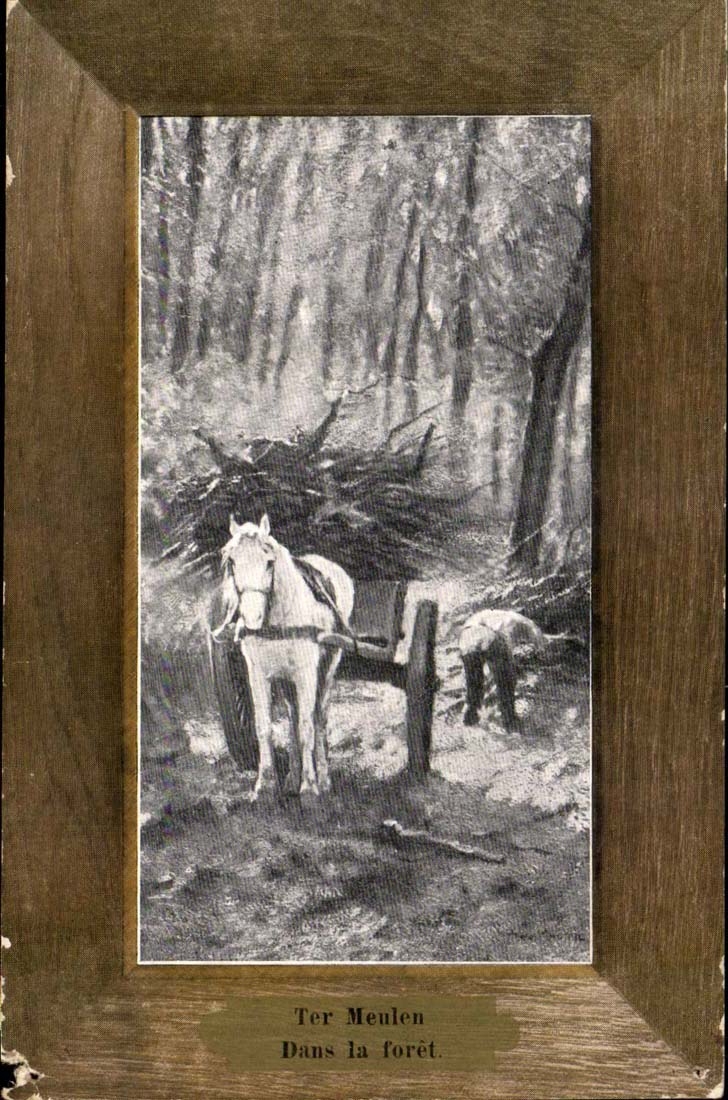 CPA FAntaisie Ter meulen Dans la foret (cheval)