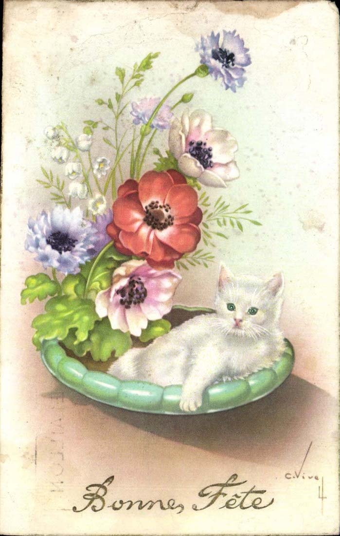 CPA Fantaisie Bonne fete Chat (katze cat)