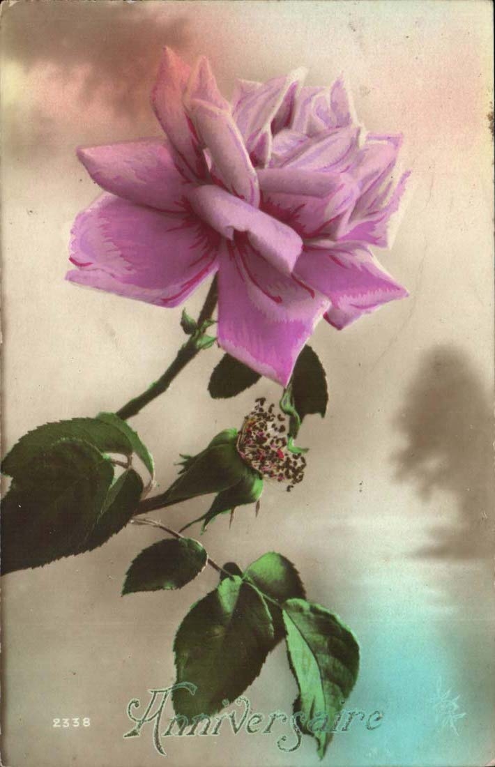 CPA Fantaisie Fleur Anniversaire Rose