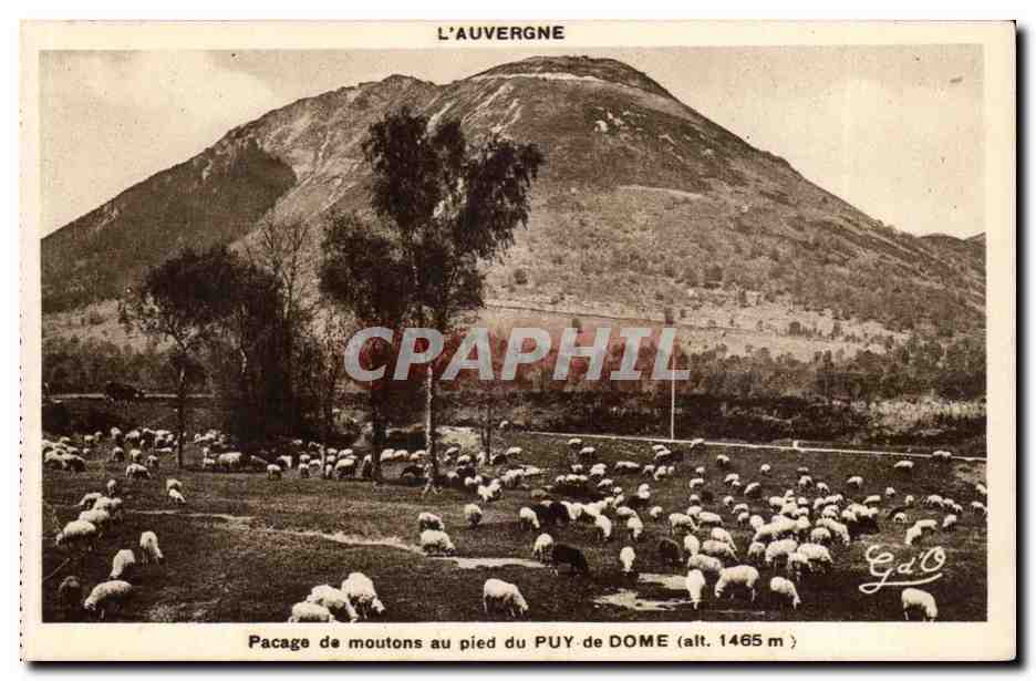 Pacage de moutons au pied du PUY-de-DOME (alt. 1465 m) — L'Auvergne — J. Gouttefanges, Édit. Ollergues (P.-de-D.)