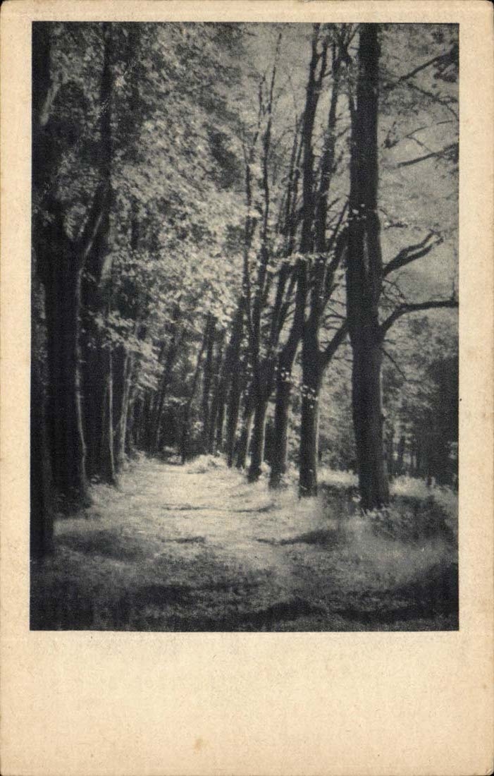 CPA Paysage 