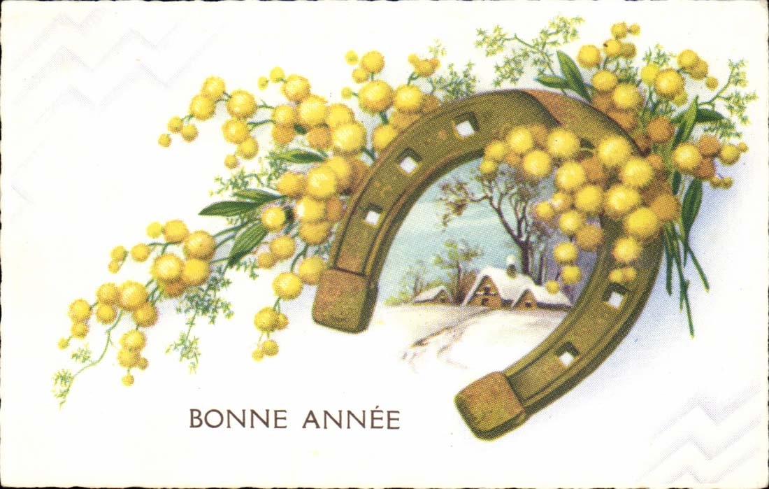 CPA Fantaisie Bonne annee (fer a cheval)