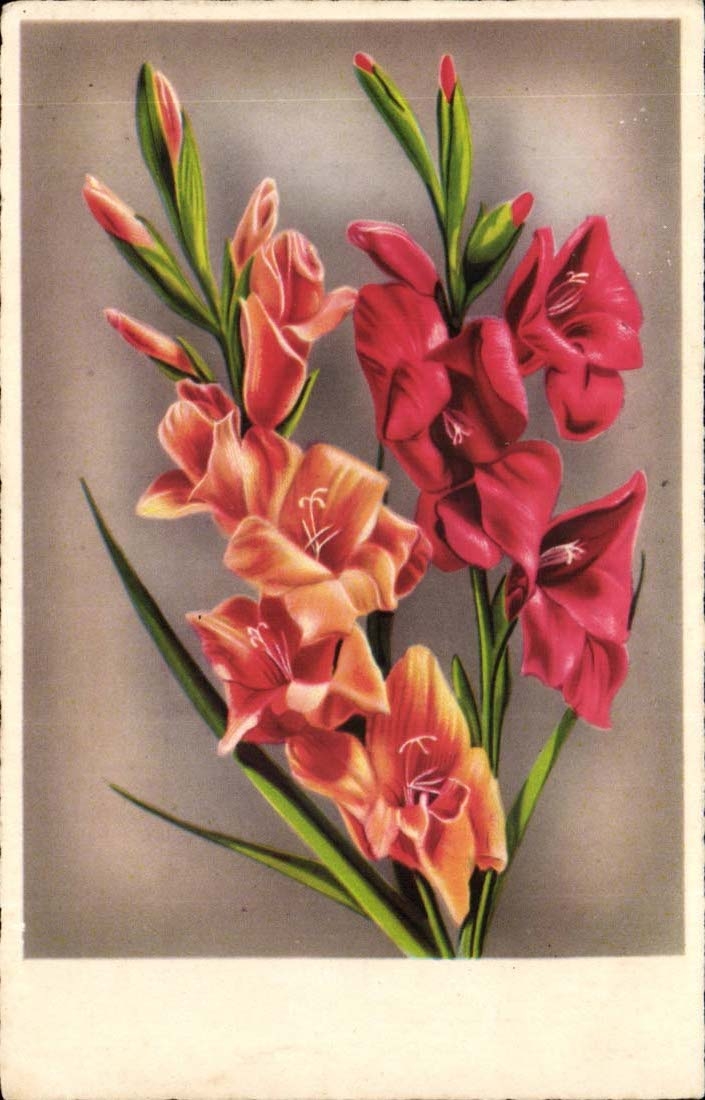 Les Fleurs - CPA 