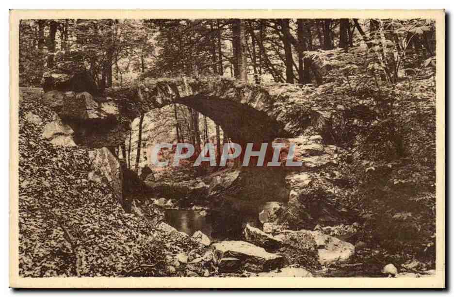 Belgique - Belgium - Promenade Meyerbeer - Spa Liege- CPA 