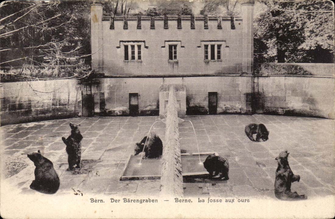Suisse - Berne - Baerengraben La Fosse aux ours - CPA 