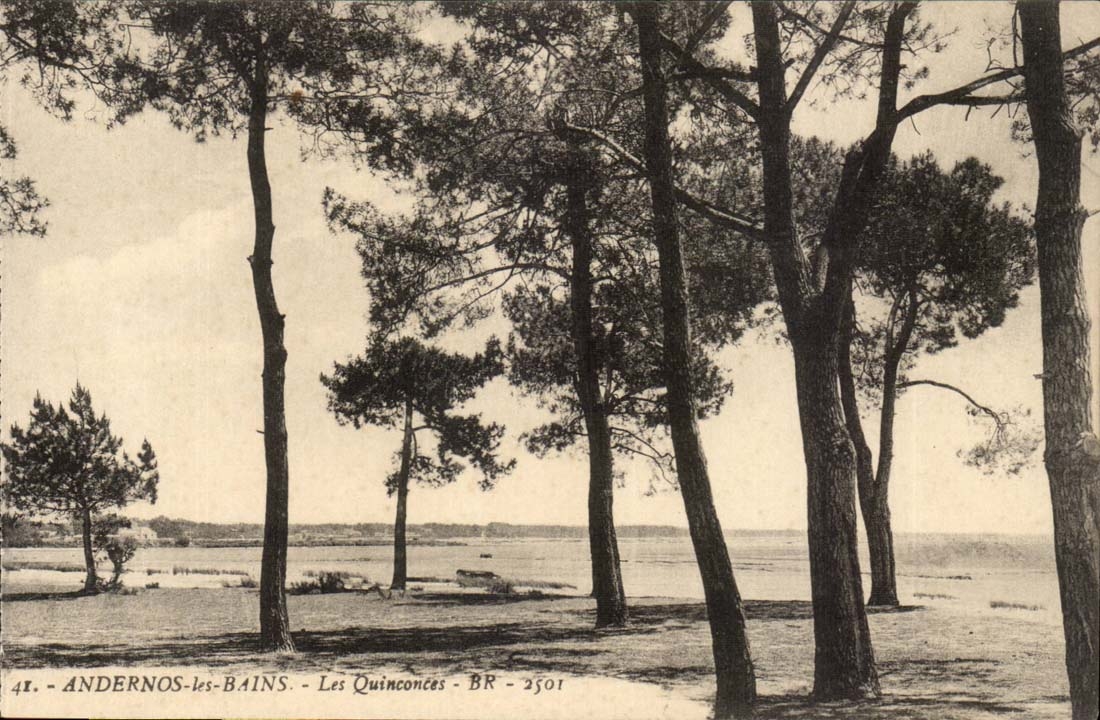 Andernos les Bains - Les Quincontes - CPA 