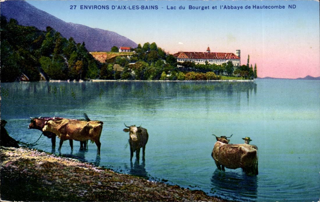 Aix lEs Bains - Lac du Bourget et l 'Abbaye de Hautecombe - vache CPA 