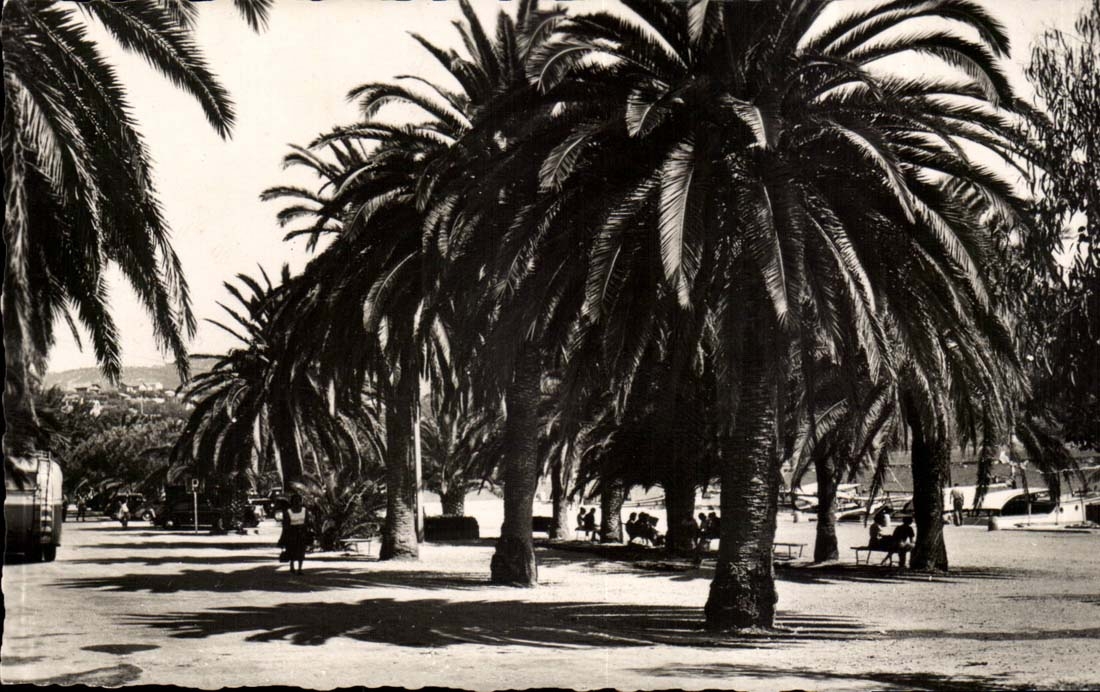 Promenade du Quai de Part - BANDOL — Images de Chez Nous, P 549