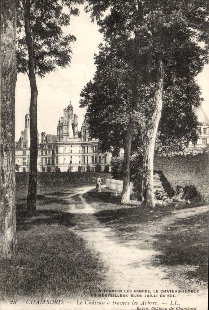 Chambord - Le Chateau a travers les Arbres - CPA 