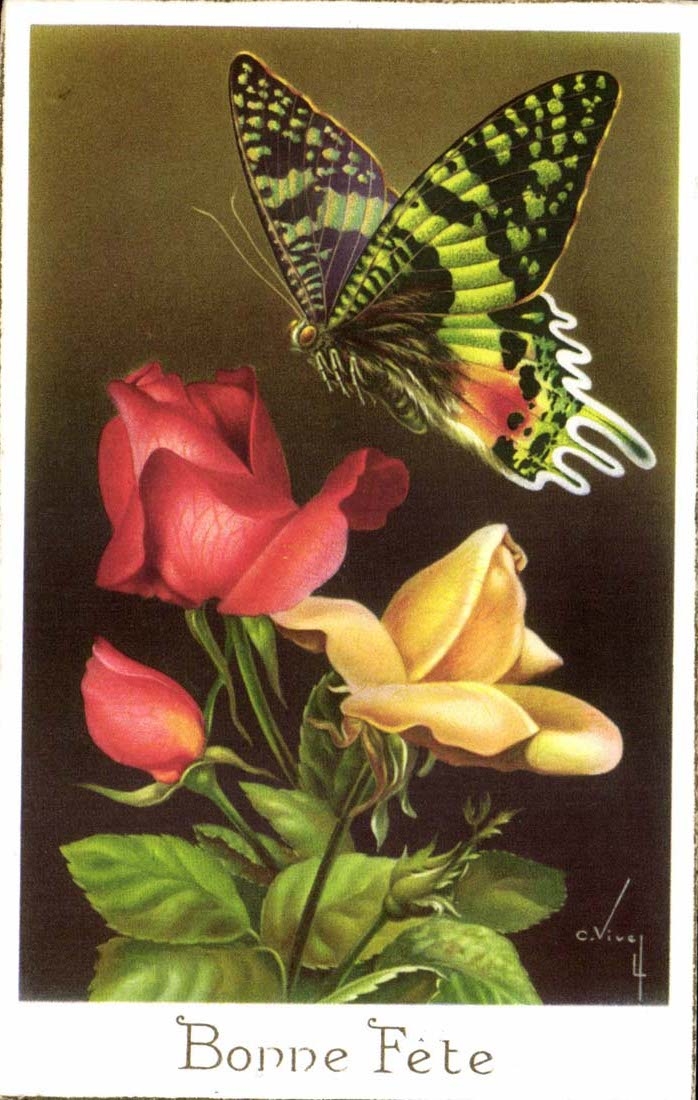 Fantaisie - Bonne fete - Roses - Papillon - Butterfly - CPA 