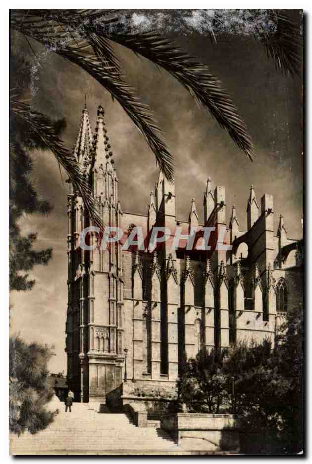 Espagne - Espana - Spain - Maorca Palma - La Catedral - CPA 