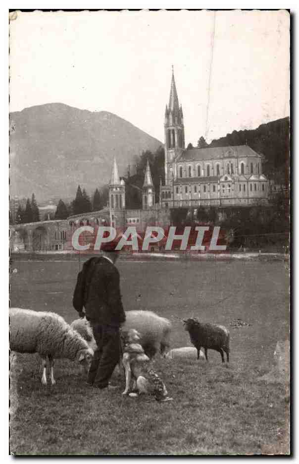 Lourdes - La Basilique - mouton - sheep - CPA 