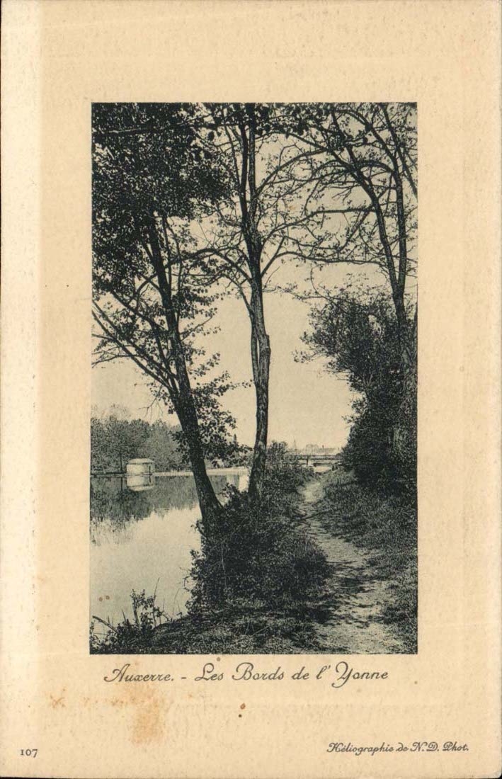 Auxerre - Les Bords de l' Yonne - CPA 