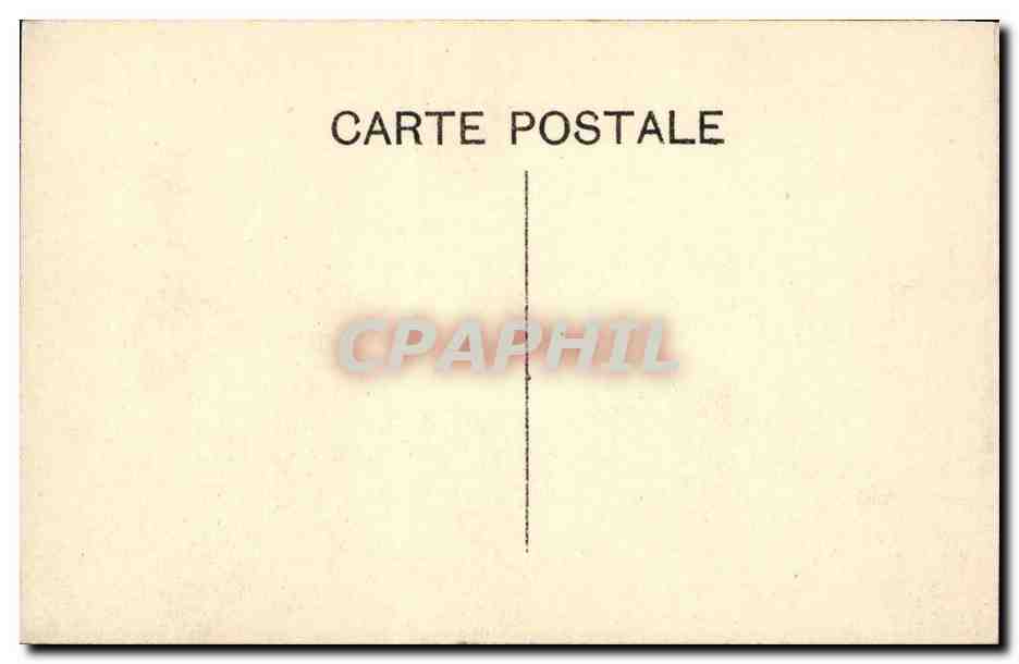 Belgique - Belgium - Namur - La Cathedrale- CPA  — Back