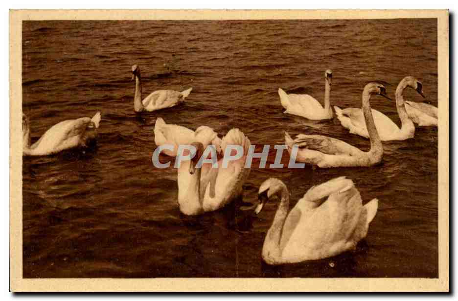 Idyll auf der Alster — Hamburg — Serie Rembrandt