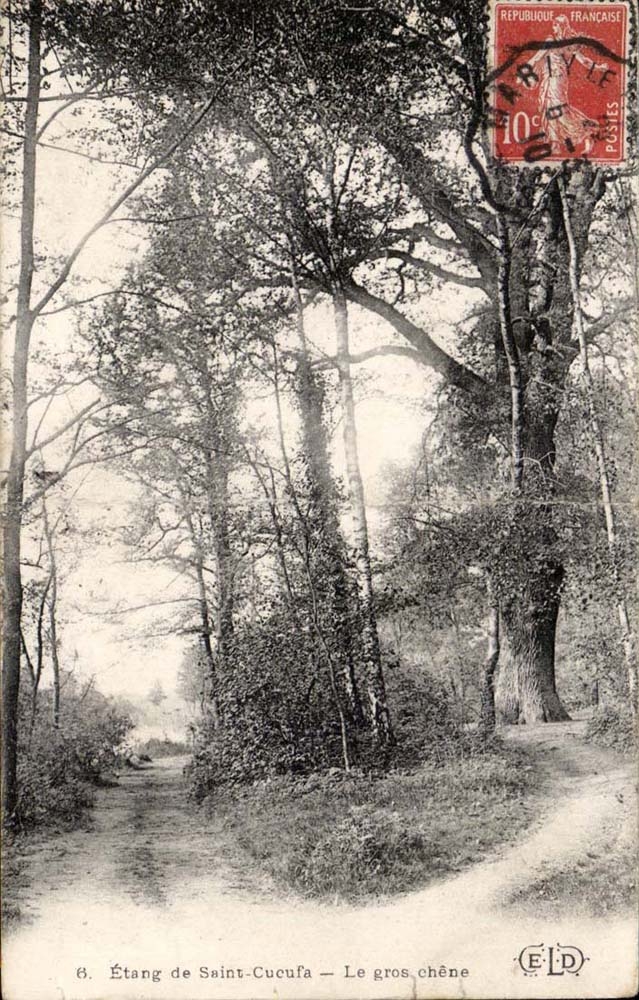 CPA Etang de Saint Cucufa Le gros chene