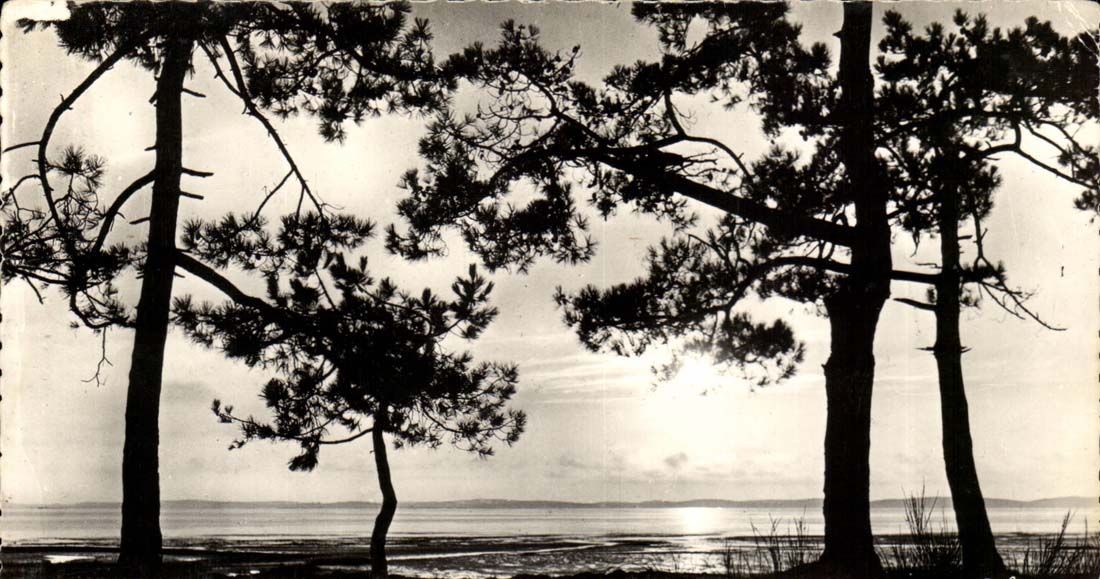 Gironde - Coucher de Soleil sur l'etang - CPA 