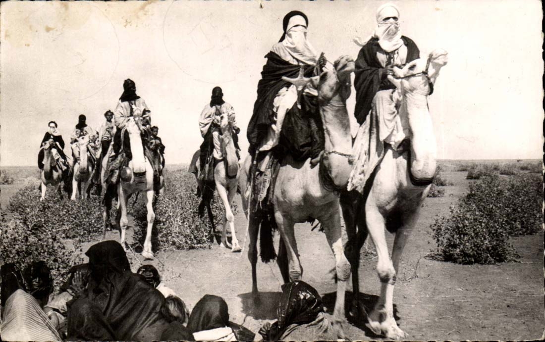 Algerie - Algeria - ilougane carrousel de chameau - CPA 