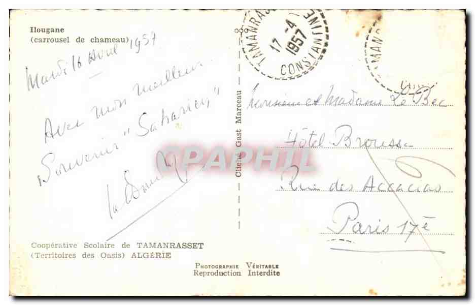 Algerie - Algeria - ilougane carrousel de chameau - CPA  — Rückseite