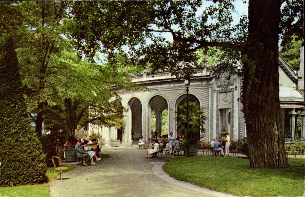Vichy - La Source Celestins - CPA 
