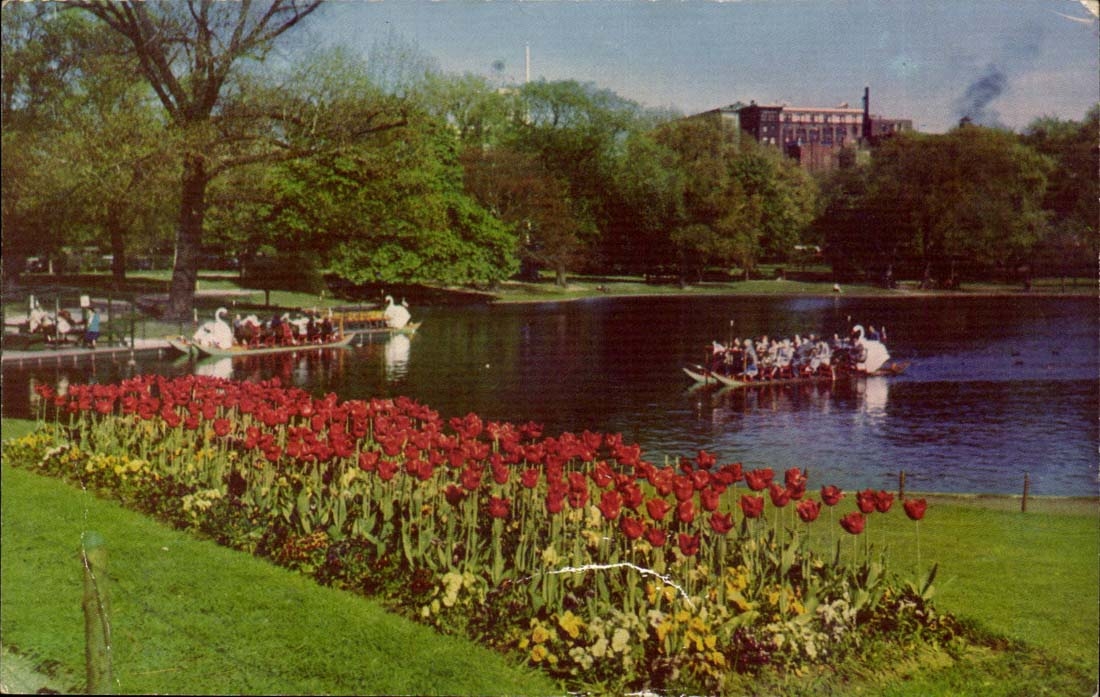 Etats Unis CPA Public Gardens Boston 