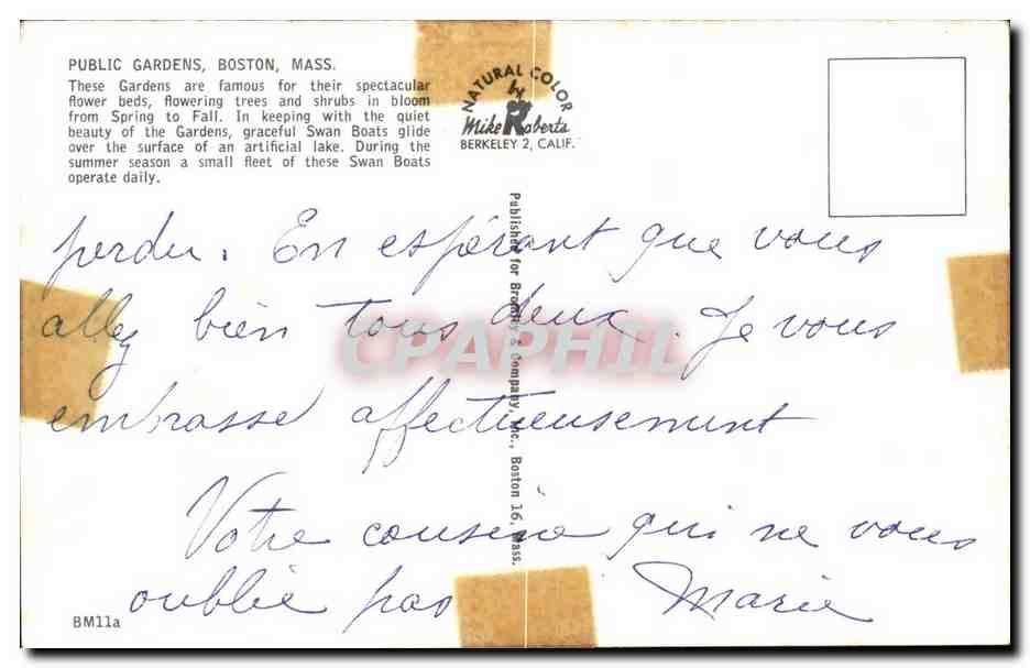 Etats Unis CPA Public Gardens Boston  — Rückseite