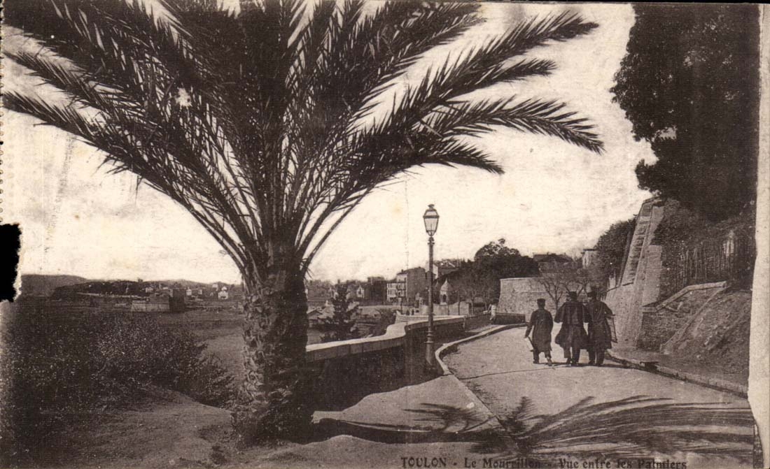 Toulon - Le Mourreillan - Vue entre les Paintiers