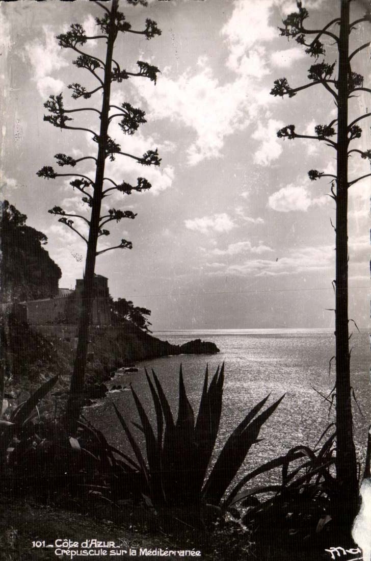 Cote d'azur CPA Crepuscule sur la Mediterranee