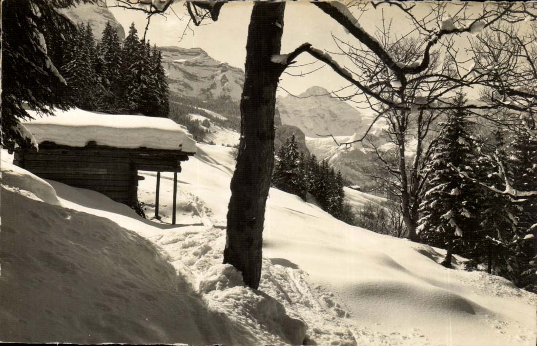 Suisse CPA Winterlandschaft bei Wengen