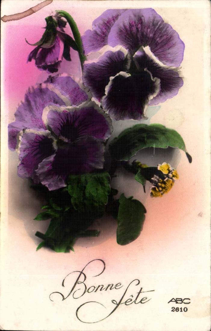 CPA Fantaisie Fleurs Bonne fete