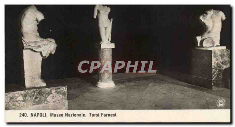 Napoli — Musée National — Torsis Farnèse — CPAPHIL 240