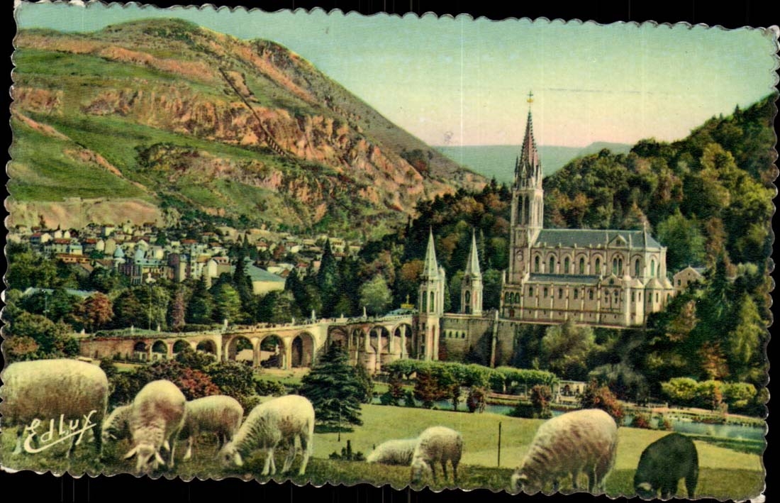 Lourdes CPM La basilique et le pic du Jer (moutons)