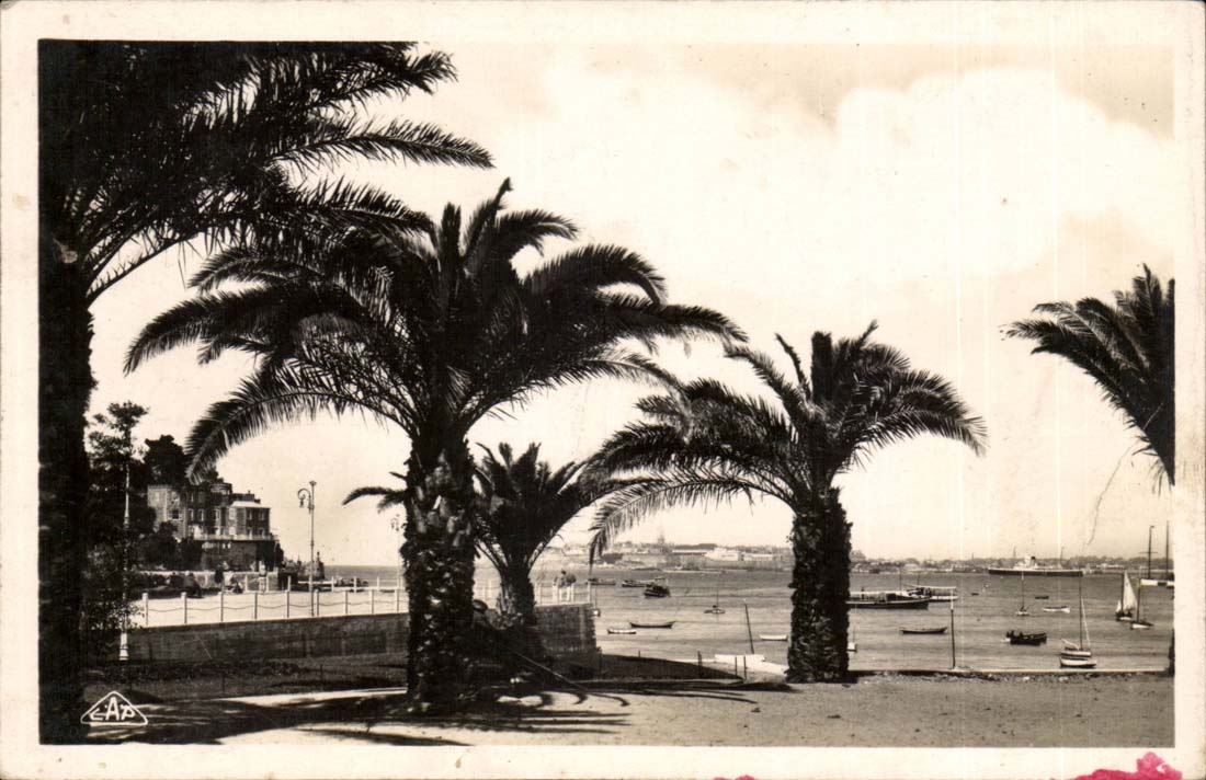 Dinard CPA Les palmiers Au fond St Malo a droite le Brittany