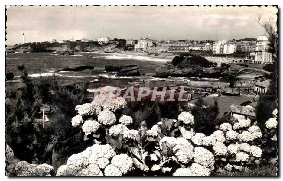 Biarritz CPM Les hortensias et vue generale sur le rocher du Basta la plage et le phare (lighthouse) Flamme Pasy basque 